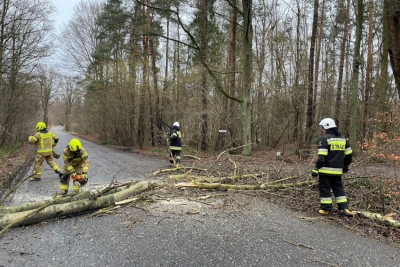 fot. arch.: Komenda Powiatowa Państwowej Straży Pożarnej w Nysie